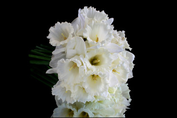 Bouquet of white narcissus flowers on black reflective background
