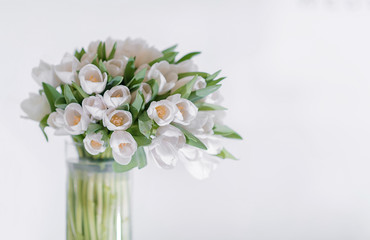 A bouquet of white tulips in a glass vase on a white background with a place for dext and writing. Decoration of a postcard