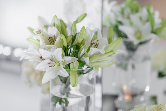 Decoration of a festive banquet with white vibrant flowers in glass vases on a white background