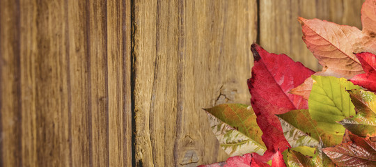Naklejka na ściany i meble Autumn leaves pattern against close-up of wooden plank