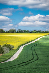 Obraz premium Ackerbau