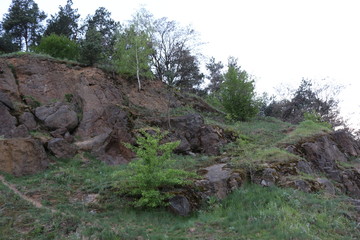 Rocks covered with trees