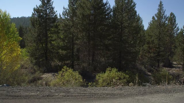 Left Side view of a Driving Plate: Car turns left onto Silver Lake Road (County Road 676) near Shellock Draw Road sign in Klamath County, Oregon, and travels through high desert forest and meadow toward Chiloquin, Oregon.