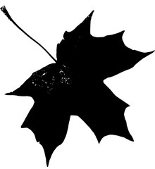 Silhouette of a maple leaf.