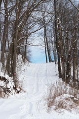 Trail Over the Hill