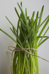 leaves tied with ribbon