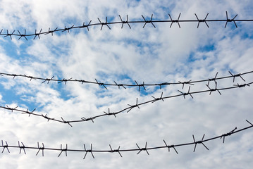 barbed wire on the sky background