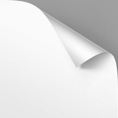 Vector Curled corner of White paper with shadow Mock up Close up Isolated on Gray Background