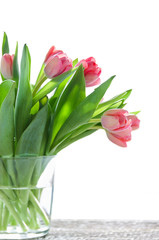 pink tulips in a vase on a white background