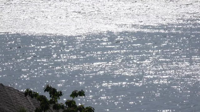 4K・湖面に吹く風_02-207