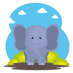 cute elephant in the field landscape character vector illustration design