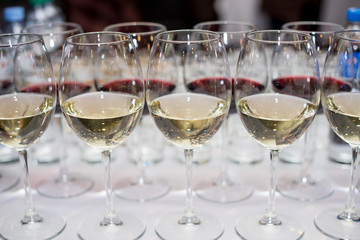 Many glasses of different wine in a row on bar counter