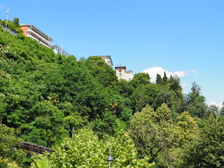 Fototapeta na wymiar View of green trees with funicular railway of tourist train in european Locarno city and houses on hill in Switzerland