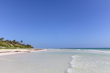 Crystal Clear caribbean sea. shallow, flat shore transparent water and clear blue skies. Just a hint of the jungle right behind. 