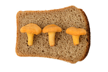Three mushrooms chanterelles on a slice of rye bread isolated on white background