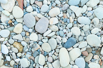 large grey pebble occupies the entire space of the frame, colorfull
