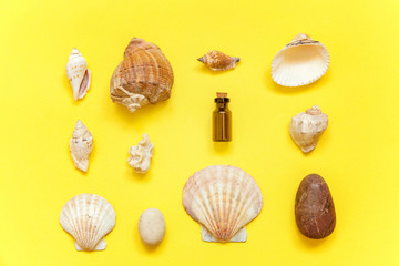 Tropical Background. Seashell and glass bottle on yellow colourful trendy modern fashion background. Vacation travel summer weekend sea adventure trip concept