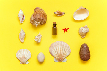 Tropical Background. Seashell and glass bottle on yellow colourful trendy modern fashion background. Vacation travel summer weekend sea adventure trip concept