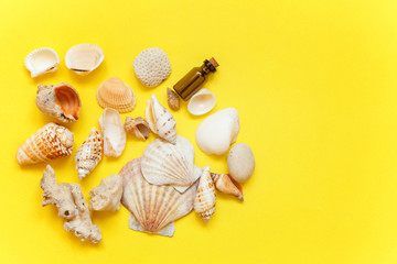 Tropical Background. Seashell and glass bottle on yellow colourful trendy modern fashion background. Vacation travel summer weekend sea adventure trip concept