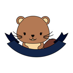 decorative emblem with cute squirrel and ribbon over white background, colorful design. vector illustration