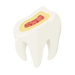 Section of tooth icon. Isometric of section of tooth vector icon for web design isolated on white background
