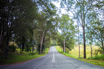 Fototapeta na wymiar Straight asphalt road winding through Australian bush. 