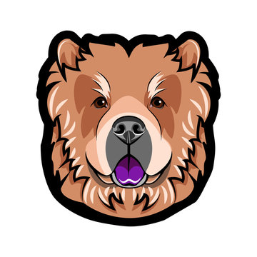recommend clip art: Chow Chow dog breed. Dog portrait. Chow Chow muzzle, face, head. Vector.