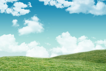 Field and sky with copy space