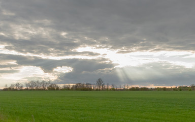 Beautiful sunset landscape on green  field  with yellow and red sky in Mississauga Ontario canada