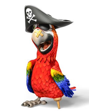 pirate parrot cartoon