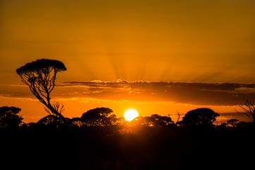 Sunrise over a rural Australian landscape
