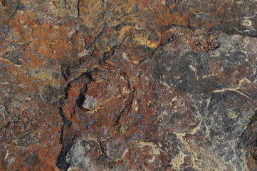 The corrosion of the iron