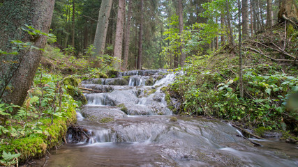 Forest Small Waterfall