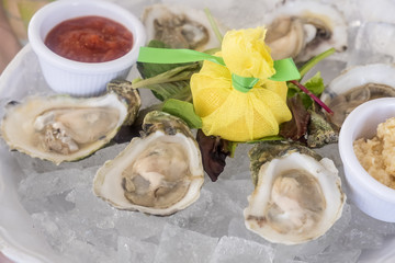 Fresh Raw Oysters Served on ice in Half Shells in a Restaurant