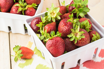 Fresh picked farm organic strawberries in berry colanders.
