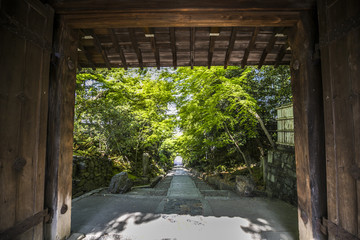 高台寺の風景