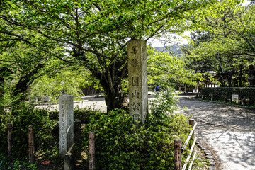 円山公園の風景