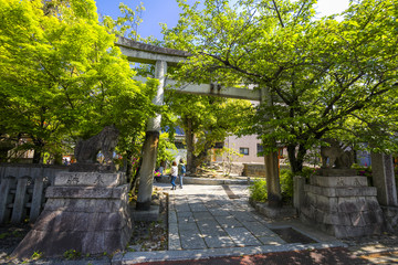 安井金比羅宮 神社の風景