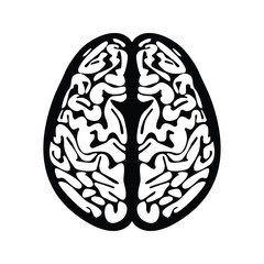 Human Brain Vector