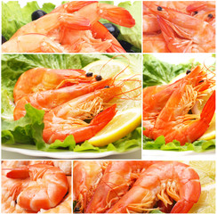 The most refined shrimps dishes