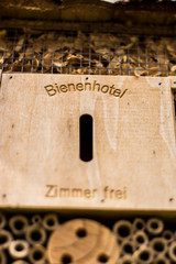 Spring is in the Air