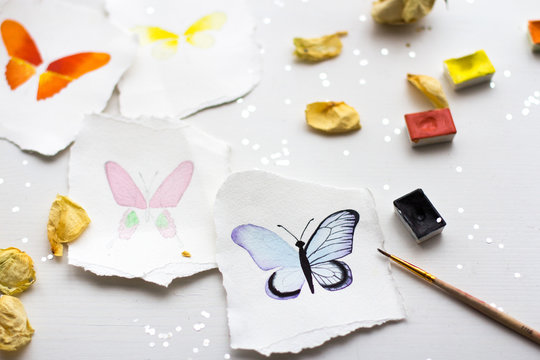 watercolor sketches of butterflies on a white background with decorations, confetti, and dried flowers