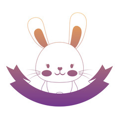 decorative emblem with cute rabbit and ribbon over white background, colorful design. vector illustration