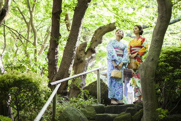 Naklejka na ściany i meble 浴衣を着ている女性たちは日本庭園を散策している