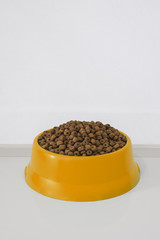 orange bowl with dry food for dog or cat in clear background with copy space.