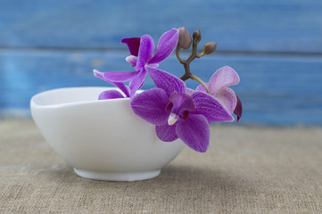 orchid flowers on a wooden background. 
