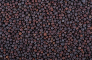 Black mustard seeds background. Close-up of mustard seeds