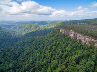 Forested mountains and rugged cliffs at Springbrook National Park, Queensland, Australia