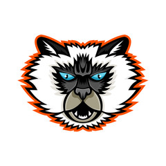 Sports mascot icon illustration of head of a Himalayan cat, a breed of long-haired cat viewed from front on isolated background in retro style.