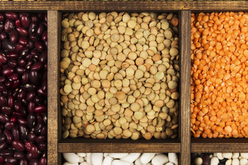 Assortment of beans (red lentil, green lentil, chickpea, peas, red beans, white beans, mix beans, mung bean) on gray background. Top view. Food background